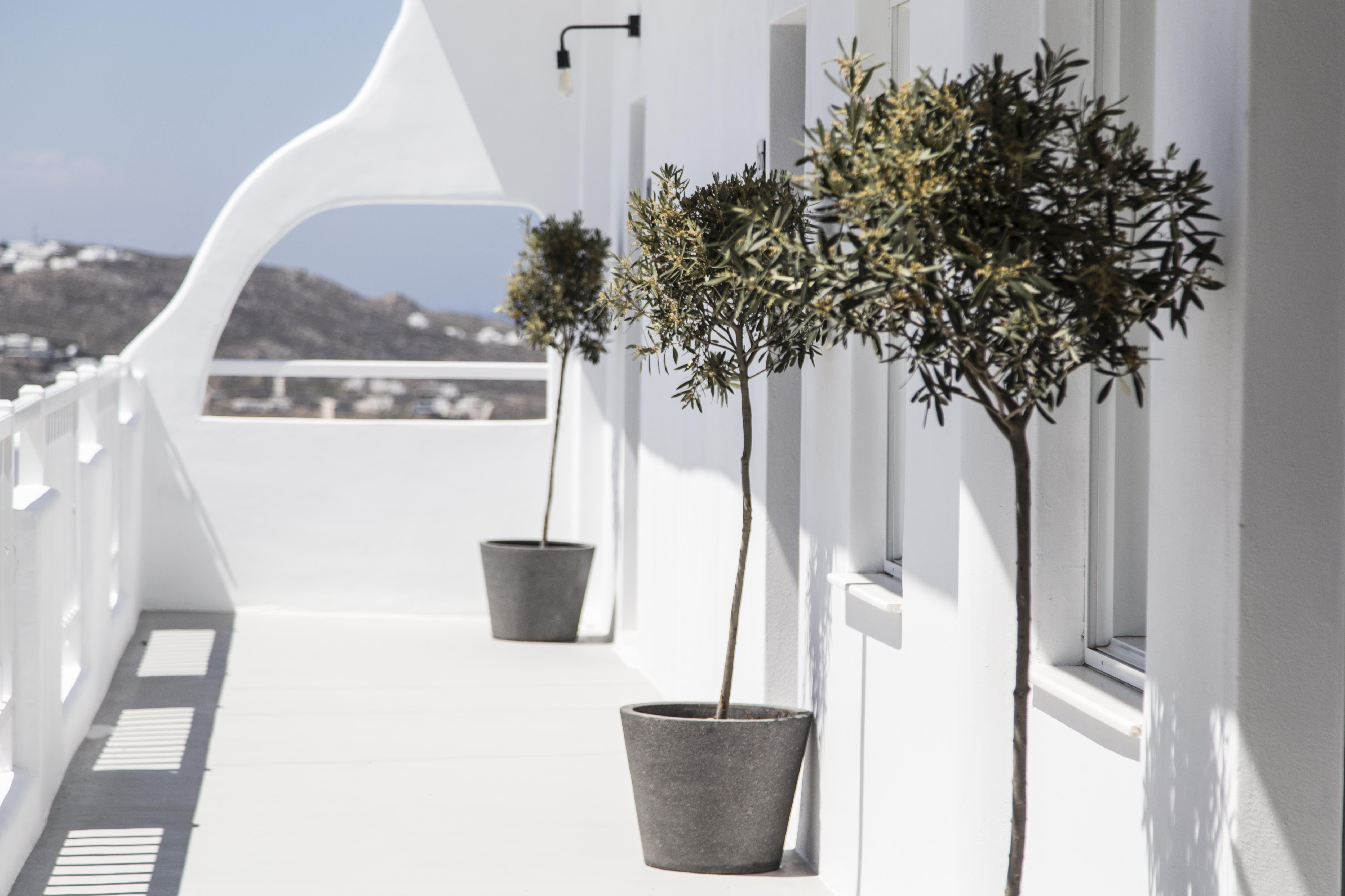 My Mykonos Hotel Mykonos Town Exterior photo